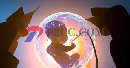 同樣時間懷孕，為什么有的顯懷而有的不顯懷？或與胎兒健康有關？(圖2)