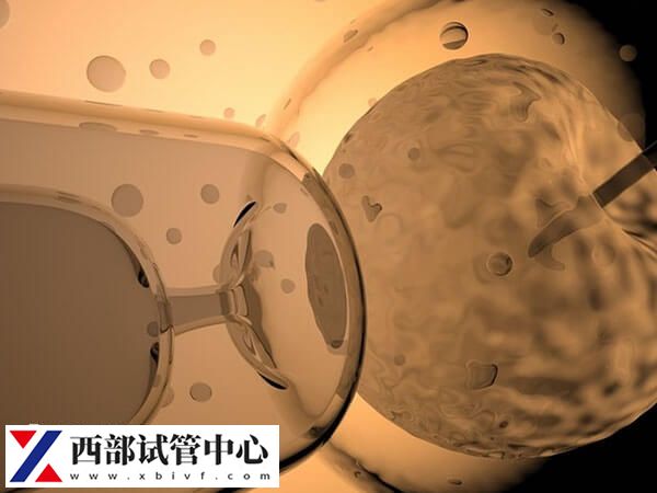 云南大學(xué)附屬醫(yī)院試管價格